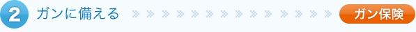 ガンに備える>>ガン保険