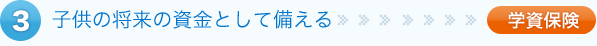 子供の将来の資金として備える>>学資保険